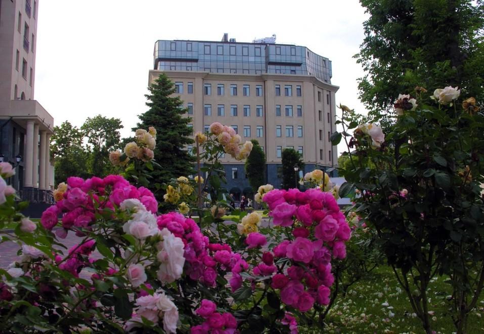 Аrcadia Nataly'S Pearls Appartments Odessa Exteriör bild